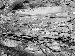 �����е�����