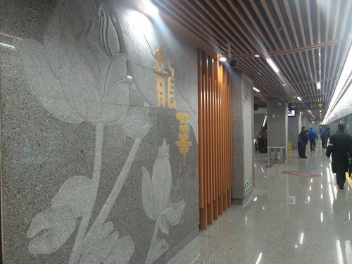 12̖�������Aվ