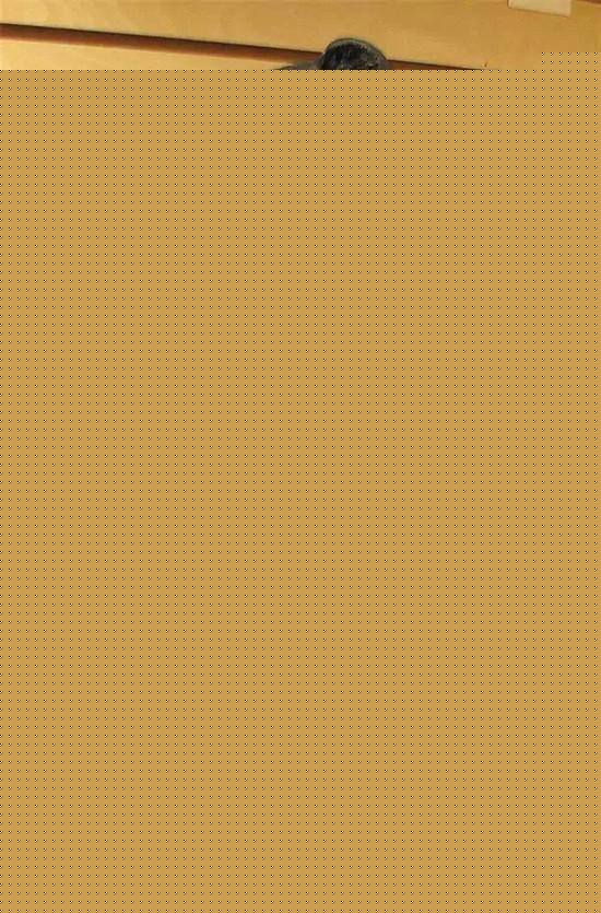 �����ܼ���Ҳ�����@ˇ�g(sh��)