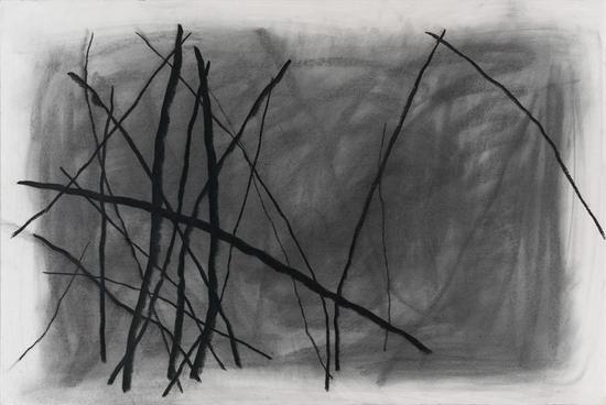 �Tƽ   ����    153cmx105cm    ����̿�P   2015