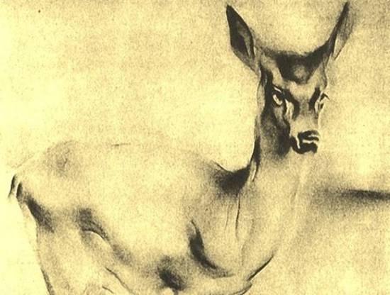 �׸�Ψһһ����������ķǂ��쮋��