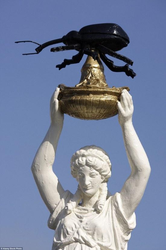 ���˶����֣�Ӣý�P�c(di��n)11̎���������ª�ĵ���