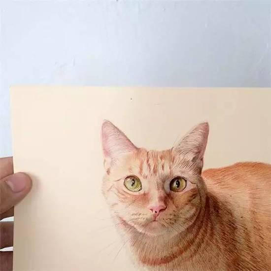 ��ֻ���ÈA��P�S�㮋(hu��)��(hu��)������