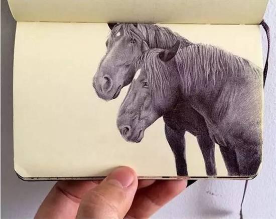 ��ֻ���ÈA��P�S�㮋(hu��)��(hu��)������