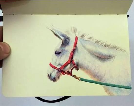 ��ֻ���ÈA��P�S�㮋(hu��)��(hu��)���ѣ�