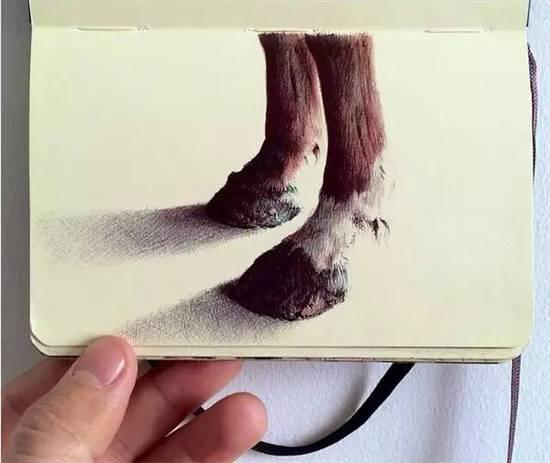 ��ֻ���ÈA��P�S�㮋(hu��)��(hu��)������