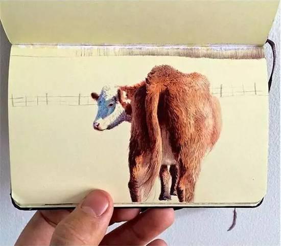 ��ֻ���ÈA��P�S�㮋(hu��)��(hu��)���ѣ�