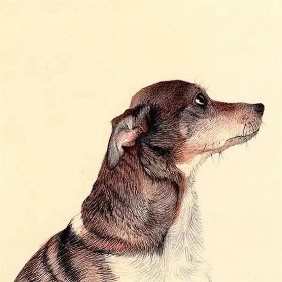 ��ֻ���ÈA��P�S�㮋(hu��)��(hu��)������