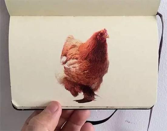 ��ֻ���ÈA��P�S�㮋(hu��)��(hu��)������