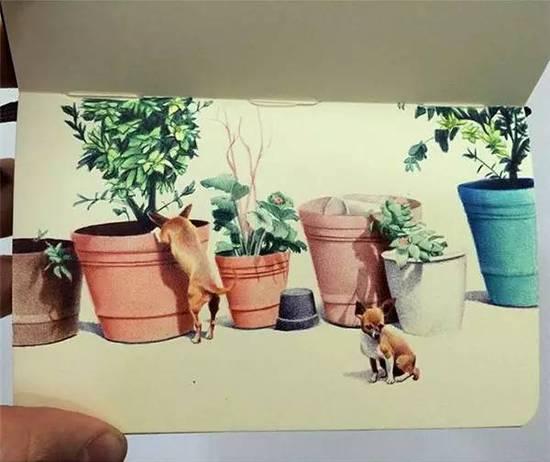 ��ֻ���ÈA��P�S�㮋(hu��)��(hu��)������