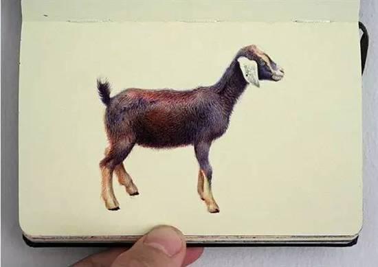 ��ֻ���ÈA��P�S�㮋(hu��)��(hu��)������