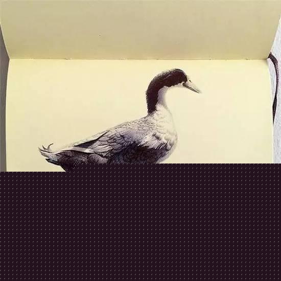 ��ֻ���ÈA��P�S�㮋(hu��)��(hu��)������