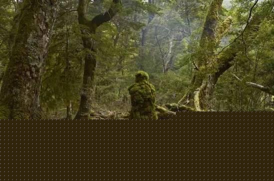 �˹���Ȼ�����(l��i)����������h(yu��n)