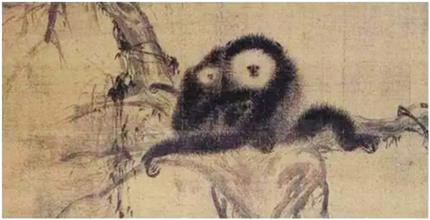 ����  ��������D�� 