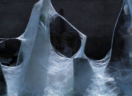 ���B��������ͥ���ֲ���2015�����DƬ��ࣺ���B�������{����