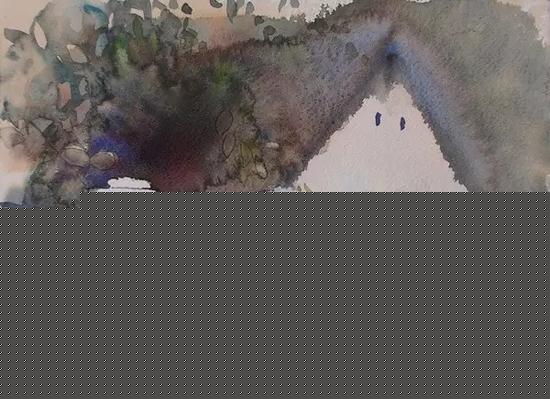 31.webp - ����