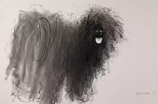 20.webp - ����